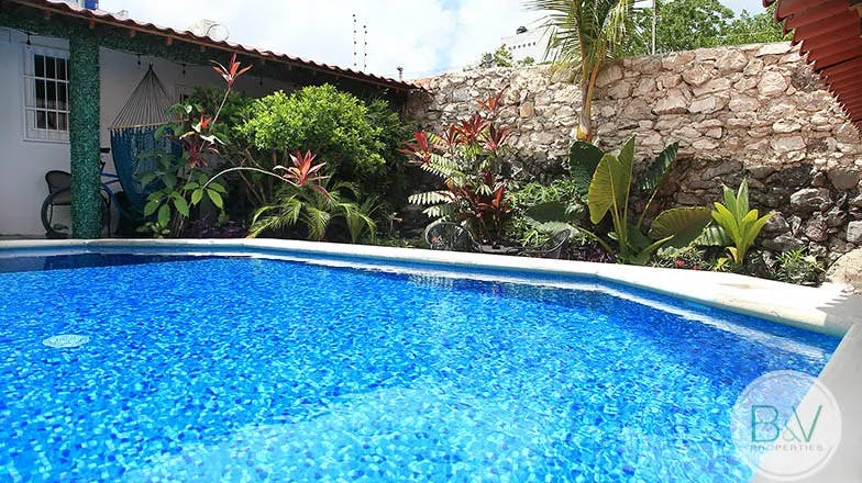 villa-minerva-1-cozumel-for-rent-pool-green